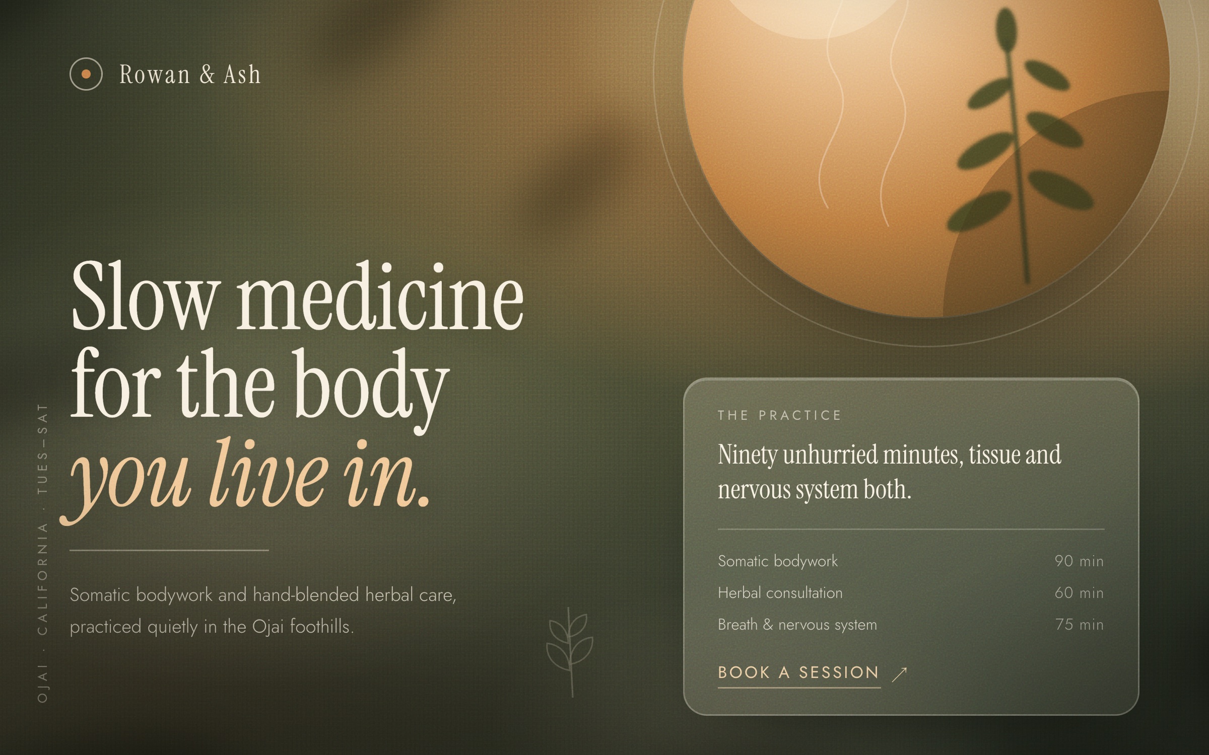 Holistic Healer site